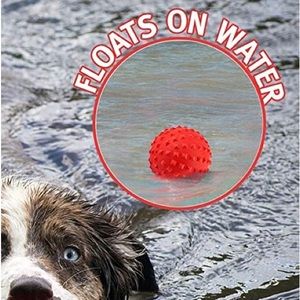 SQUEAKY LOVING
TOY FOR DOCS BALL
Over 1 million dogs chewed and played by RHL